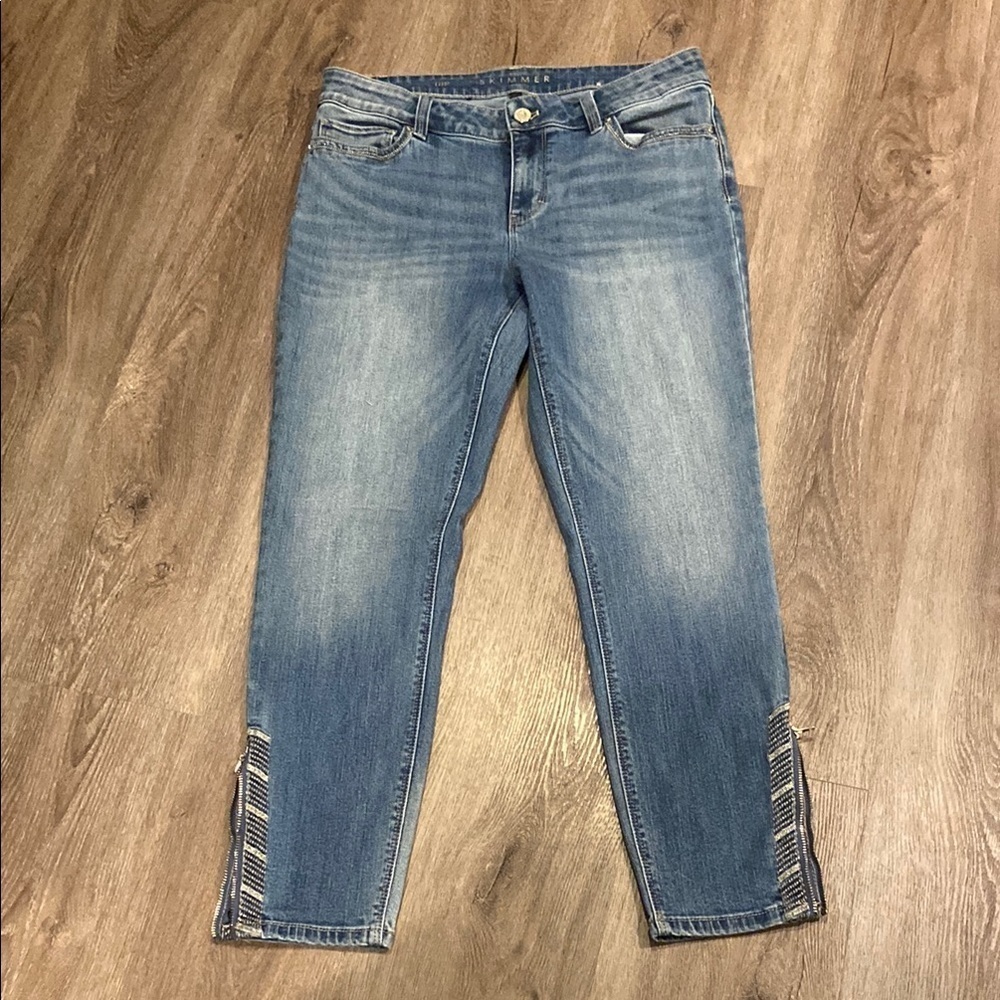 WHBM The Skimmer Jeans Zipper Ankle 10P NWT